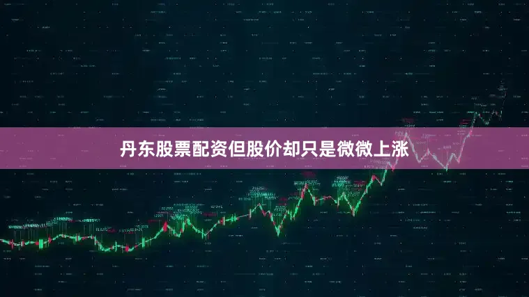 丹东股票配资但股价却只是微微上涨