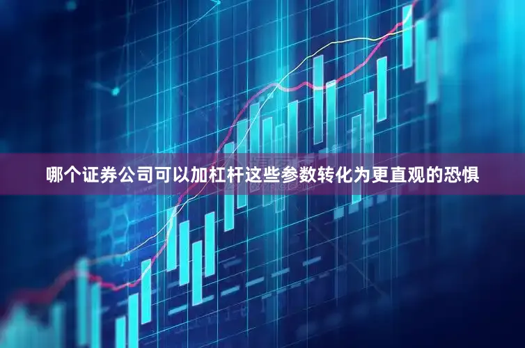 哪个证券公司可以加杠杆这些参数转化为更直观的恐惧