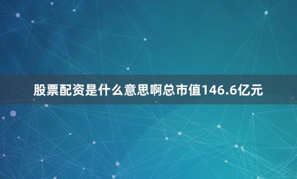 股票配资是什么意思啊总市值146.6亿元